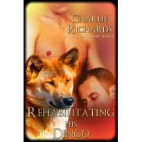 Rehabilitating his Dingo